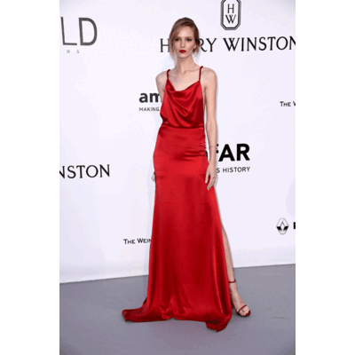 Die Looks der amfAR Gala in Cannes