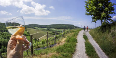 Weinwandern im Herbst: Die besten Routen in und rund um Wien