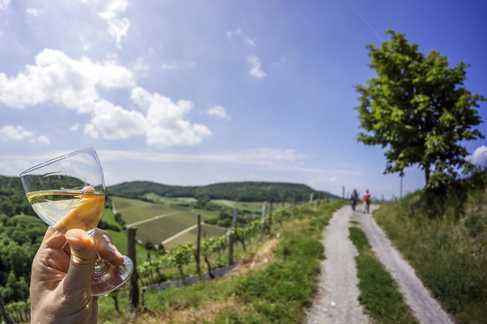 Weinwandern in Österreich: Die schönsten Wege zum Wein