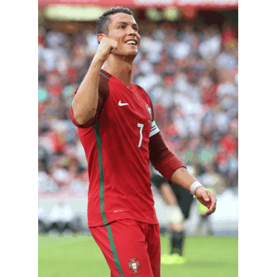 Cristiano Ronaldo (POR) – 19%