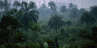 Nigeria: 200 Entf&uuml;hrungsopfer befreit