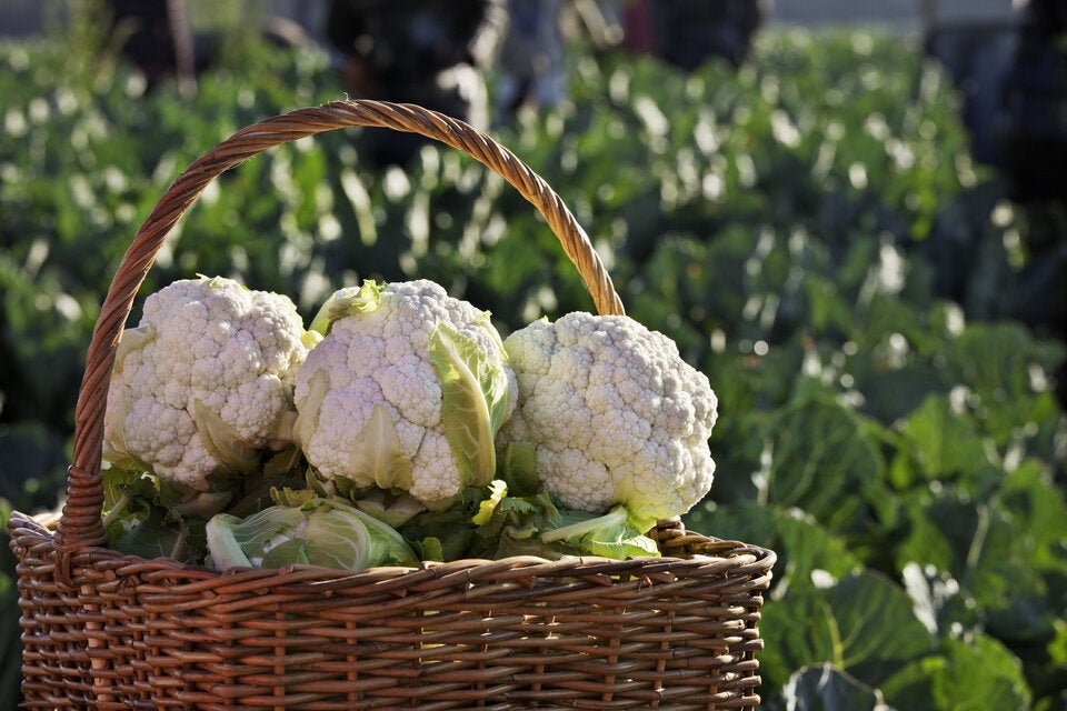 Im Mai: Diese regionalen Superfoods müssen jetzt in Ihren Einkaufskorb