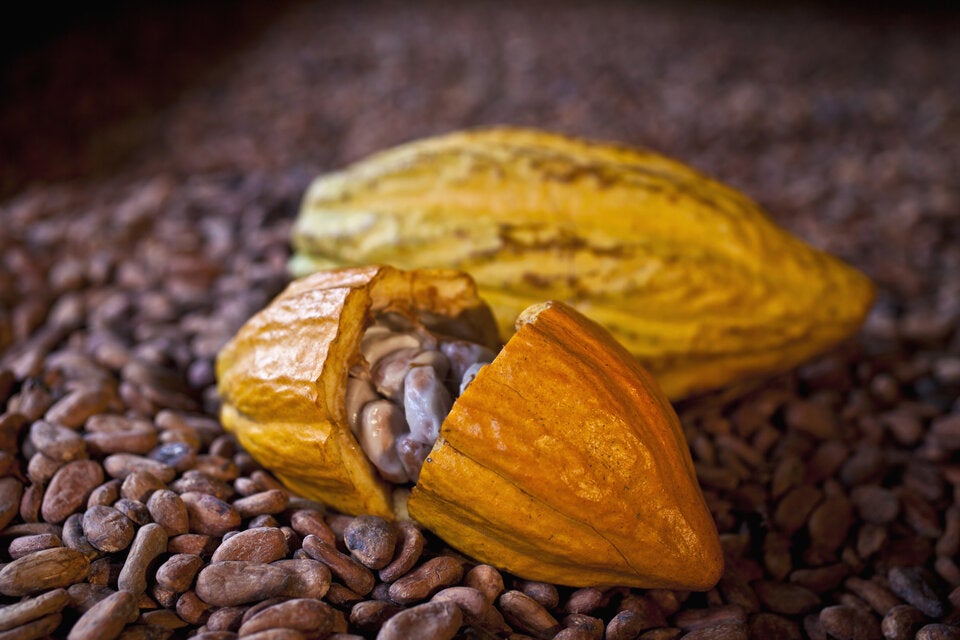 Schoko-Revolution: Diese Schokolade soll gesünder sein als Obst