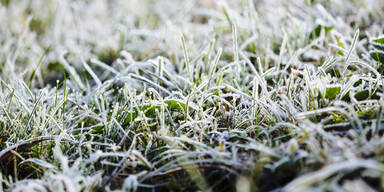 Bodenfrost Tau 