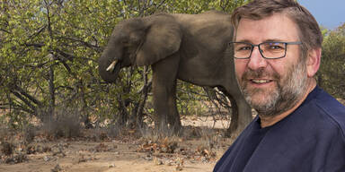 G&uuml;nter Z. Namibia Elefant totgetrampelt