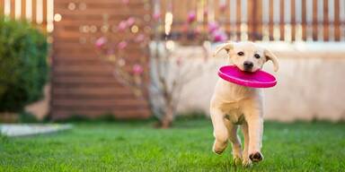 Jetzt wird&rsquo;s gr&uuml;n: Starten Sie perfekt in die Rasensaison