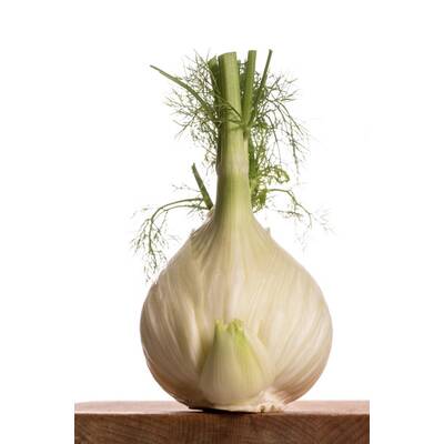 Gesundes im September