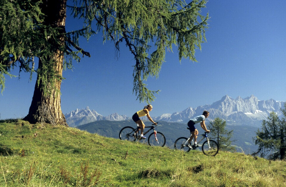Frühling auf zwei Rädern: Die schönsten Radtouren durch Österreich 2025