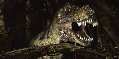 Bald gibt's Luxus-Taschen und Jacken aus T-Rex-Leder