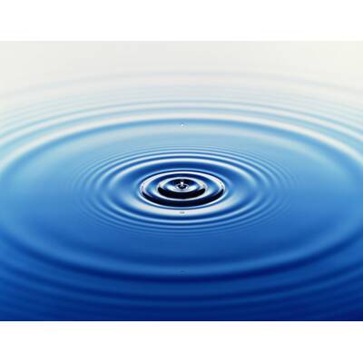 Profilfotos zum Wegklicken