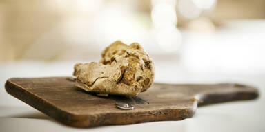 3 Knollen Tr&uuml;ffel f&uuml;r &uuml;ber 100.000 Euro versteigert