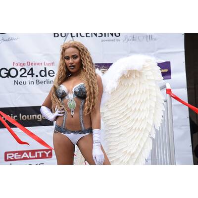 Dschungelcamp 2017: Die Stars