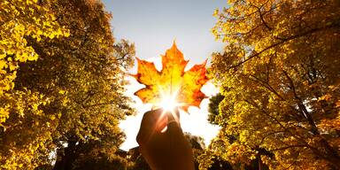 Laut Bauernregel: "Ist der September warm und klar, ..."