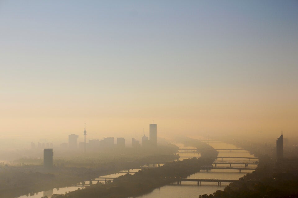 Bauernregel Nebel in November Wien