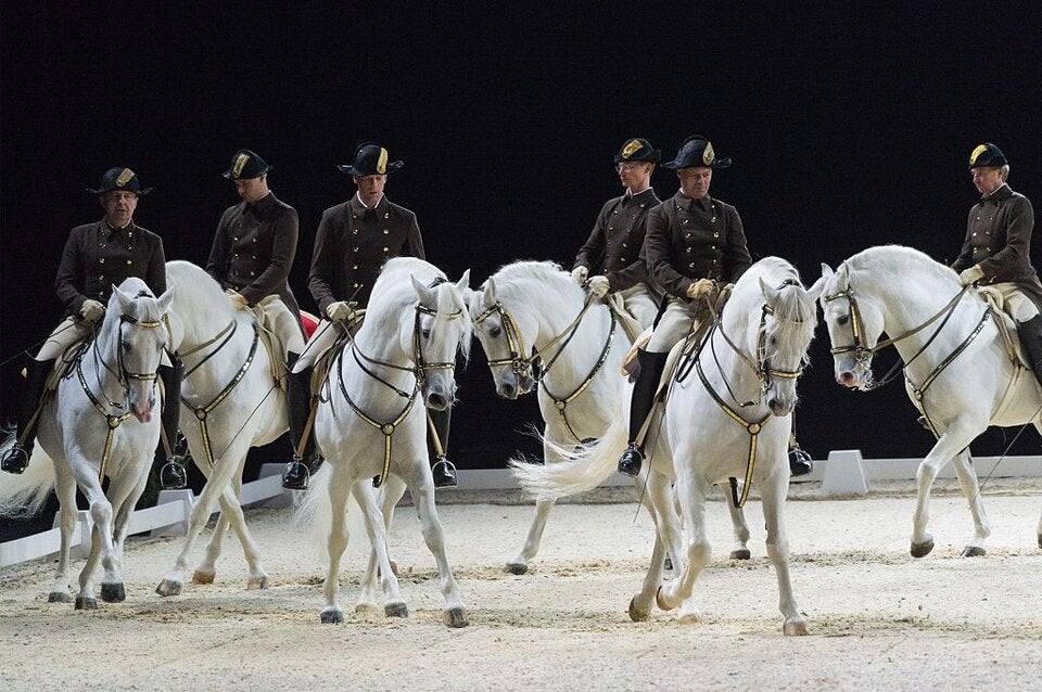 Die 10 Sightseeing-Highlights im Herbst