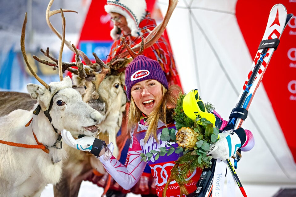 Shiffrin Rentier Levi