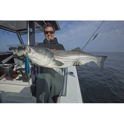 Profilfotos zum Wegklicken