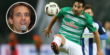 Austria Pizarro