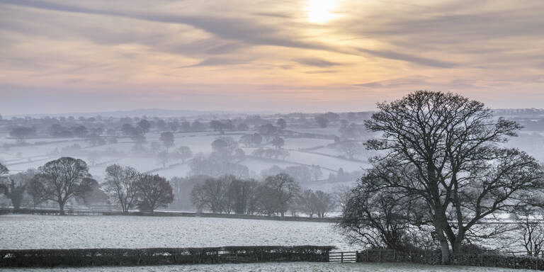 Laut Bauernregel: Das bedeutet ein kalter Februar für den März