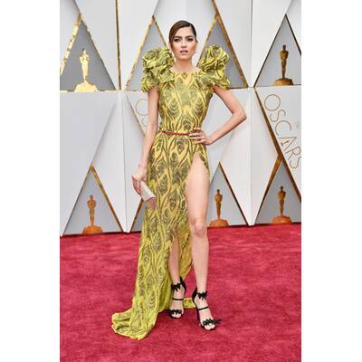 Die Oscar-Roben 2017