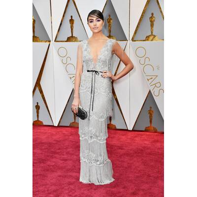 Die Oscar-Roben 2017