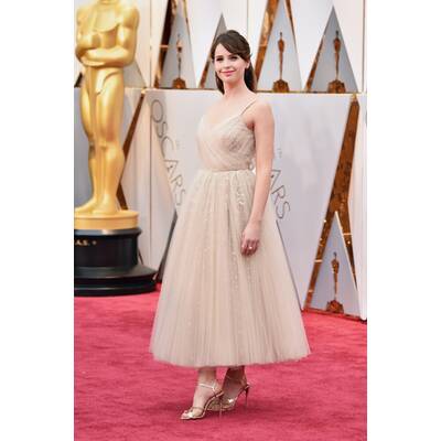 Die Oscar-Roben 2017