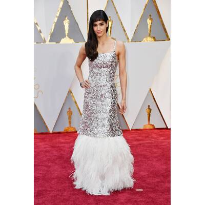 Die Oscar-Roben 2017