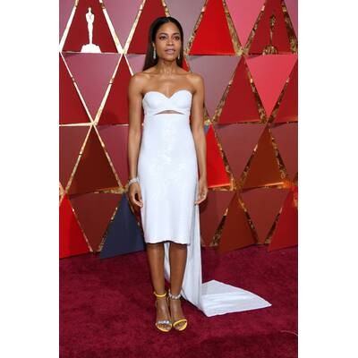 Die Oscar-Roben 2017