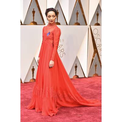 Die Oscar-Roben 2017