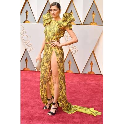 Flop-Looks Oscars 2017