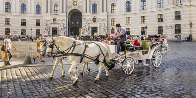 Fiaker Pferde Wien