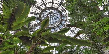 Wintergarten-Trend: Garten im Glashaus