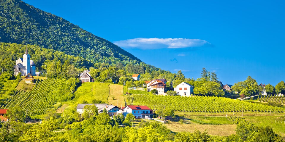 Plešivica. Diese Region ist auch als die kroatische Champagne bekannt. 