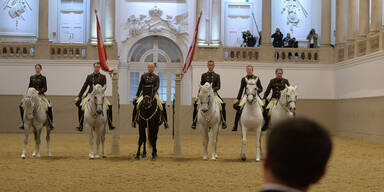 "Gravierende Verfehlungen!" Chef der Spanischen Hofreitschule gefeuert