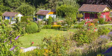 Schrebergarten