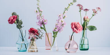 Genialer Lifehack: Mit diesen Hausmitteln glänzen Ihre Vasen sofort wie neu