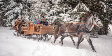 Pferdekutsche prallt in Haus: Verletzte