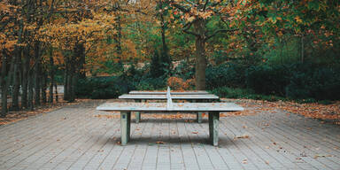 Tischtennis Park