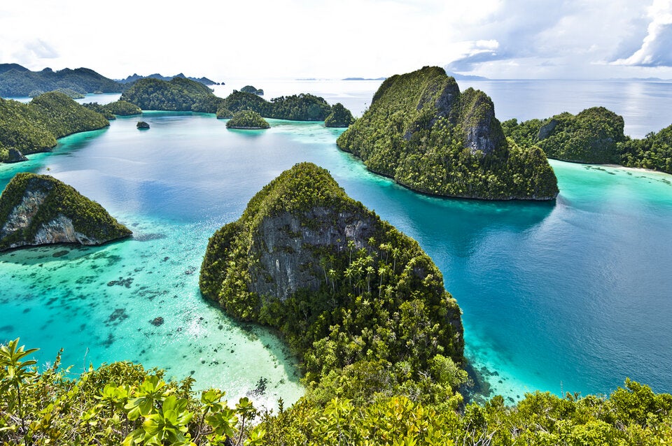 Laut „National Geographic