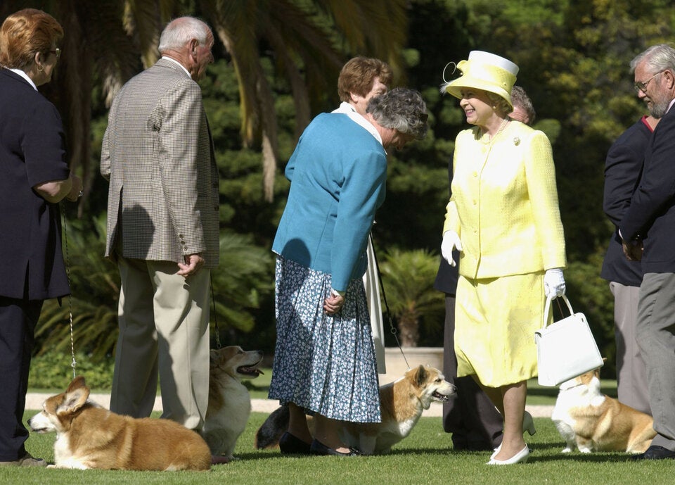 Queen Corgi