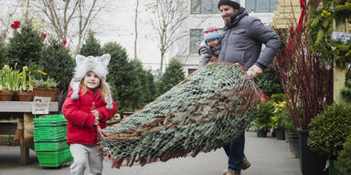 Christbaum kaufen