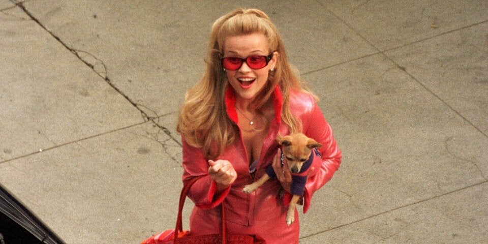Elle Woods mit ihrem Chihuahua Moonie