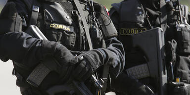 Österreich-Leugner bedrohte Richter: festgenommen