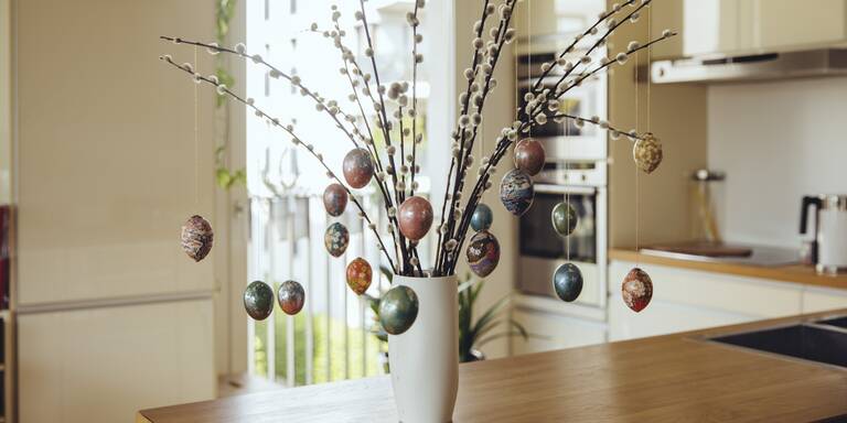 Vorsicht! Den meisten ist nicht klar, warum Palmkätzchen zu Ostern keine gute Idee sind