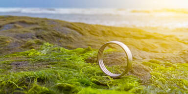 Niedrigwasser bringt in Donau Ehering und Tresor zum Vorschein