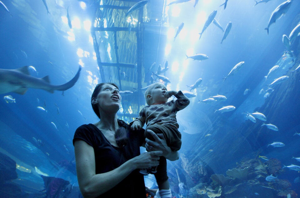 Dubai für Familien: Must-visits für Jung und Alt