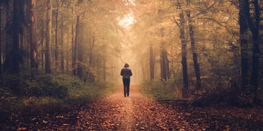 Dieser Zufall rettet verirrten Wanderern das Leben