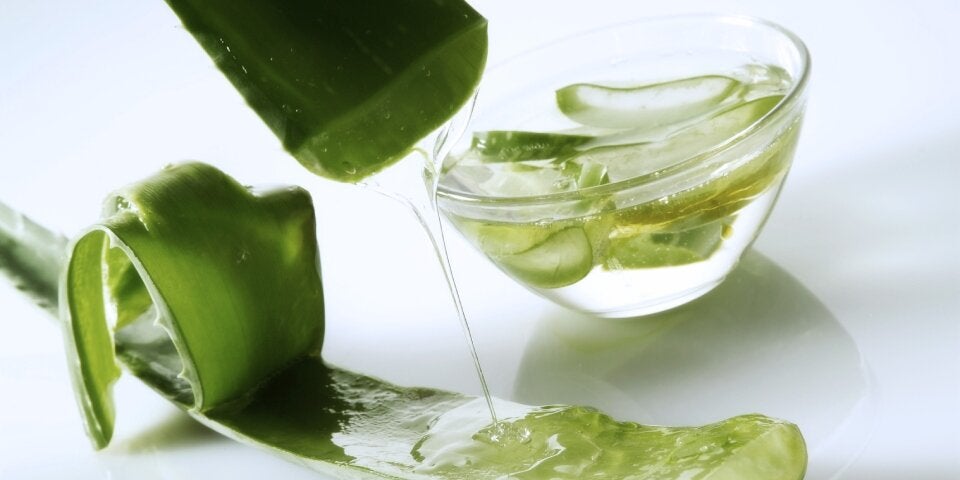 Aloe Vera