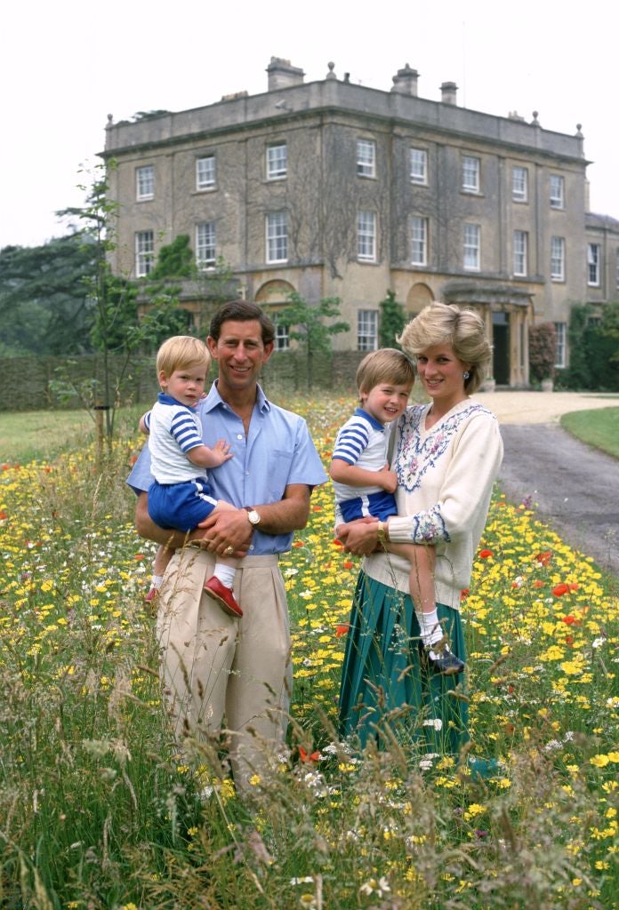 Charles, Harry, William und Diana