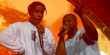 United Airlines: Wirbel um Hund von US-Rapstar